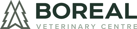 Boreal Veterinary Centre logo